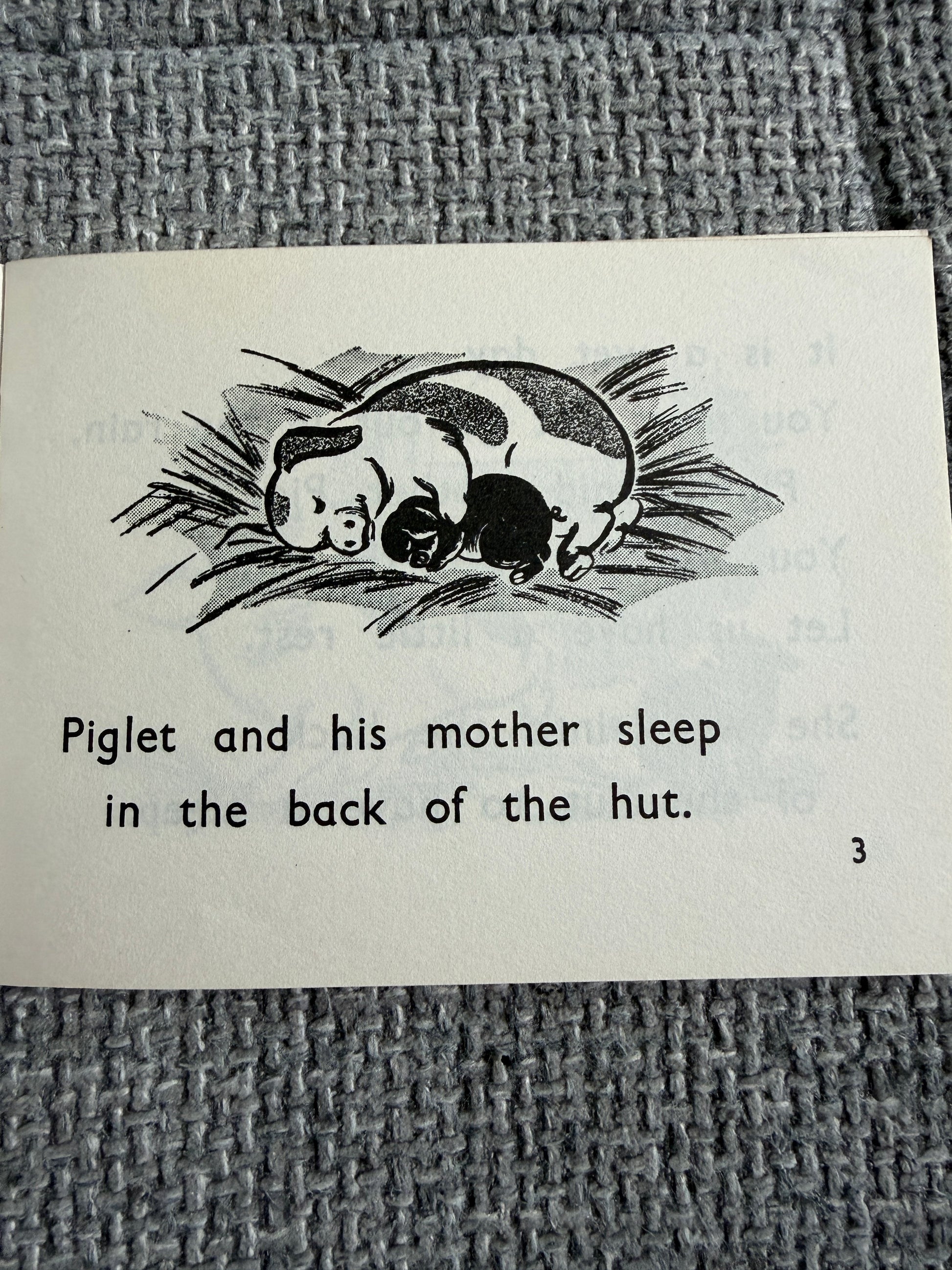 1967 The Black Piglet ( Blue Stories: Gay Way Series) E. R. Boyce (MacMillan & Co Ltd) - Honeyburn Books (UK)