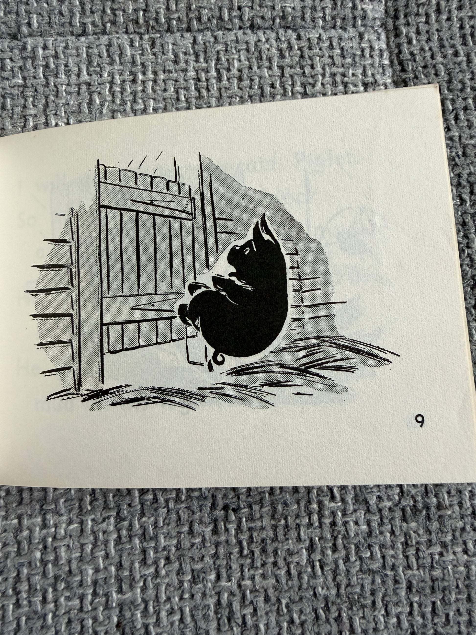 1967 The Black Piglet ( Blue Stories: Gay Way Series) E. R. Boyce (MacMillan & Co Ltd) - Honeyburn Books (UK)
