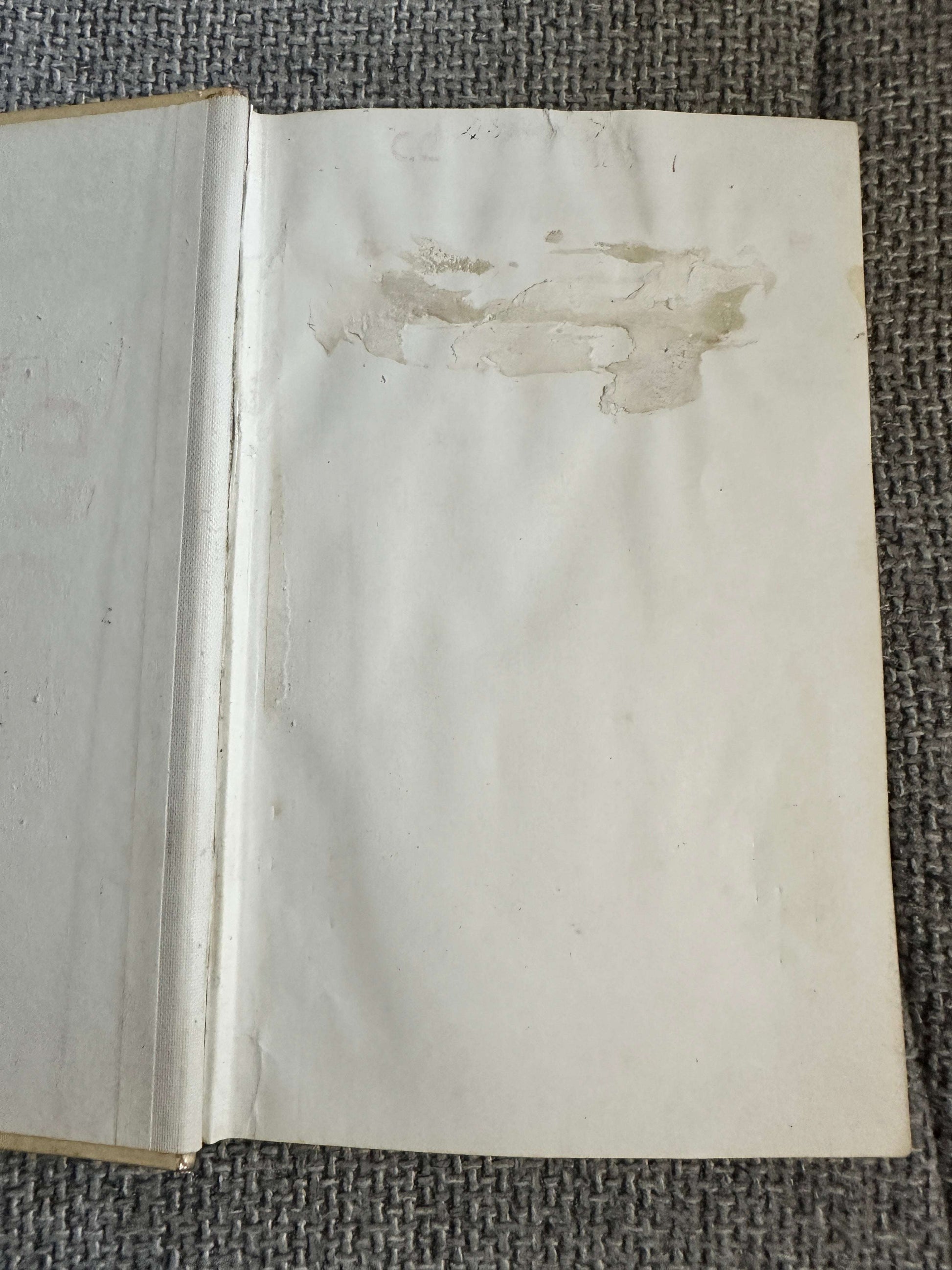 1964*1st* The Loud Halo - Lillian Beckwith (Douglas Hall Illust) Hutchinson