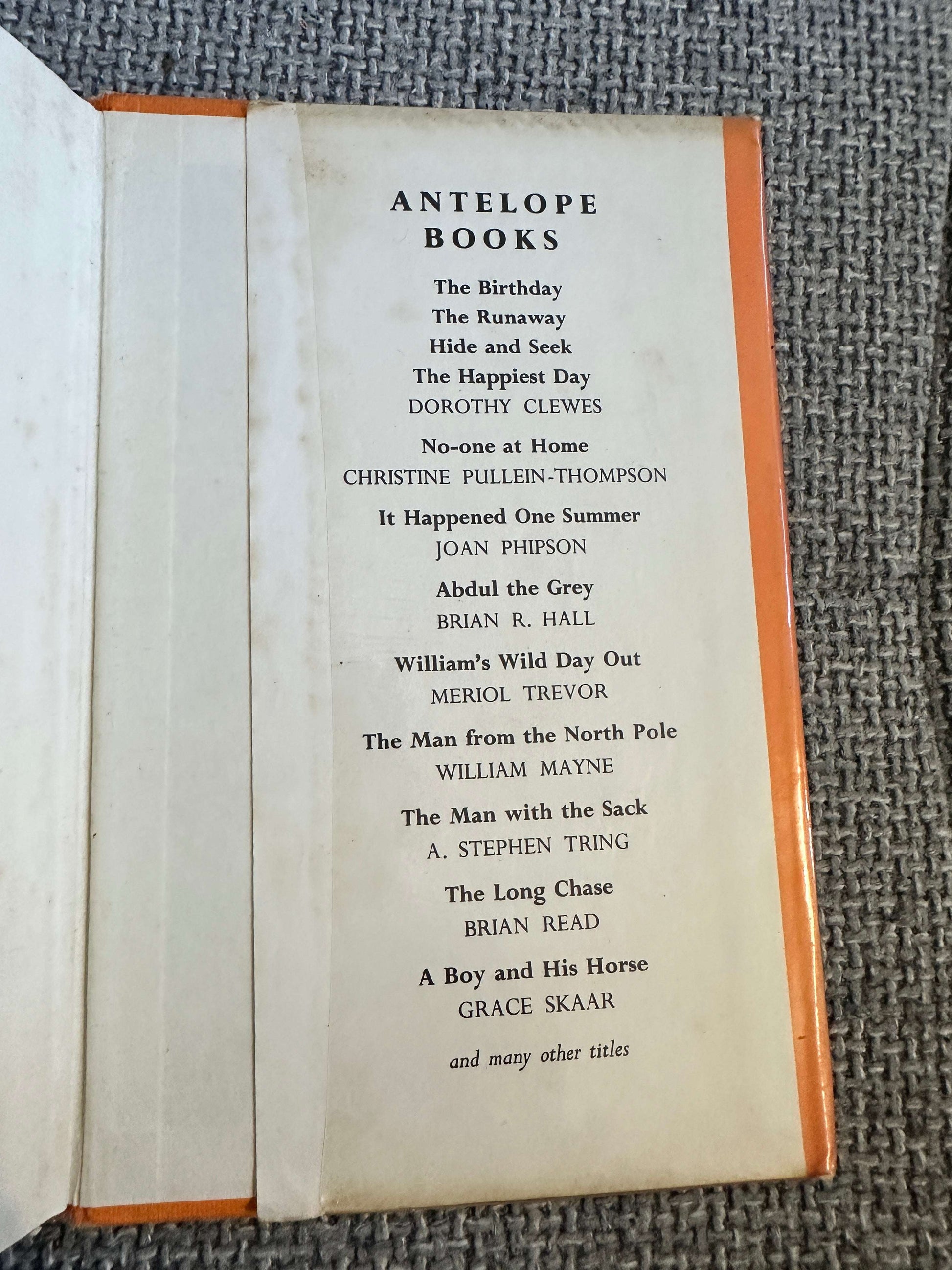1968 A Boy & His Horse - Grace Skaar (Monica Brasier - Creagh Illust) Antelope Books Hamish Hamilton