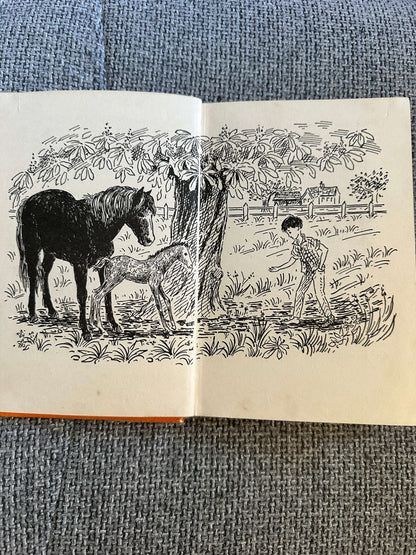 1968 A Boy & His Horse - Grace Skaar (Monica Brasier - Creagh Illust) Antelope Books Hamish Hamilton