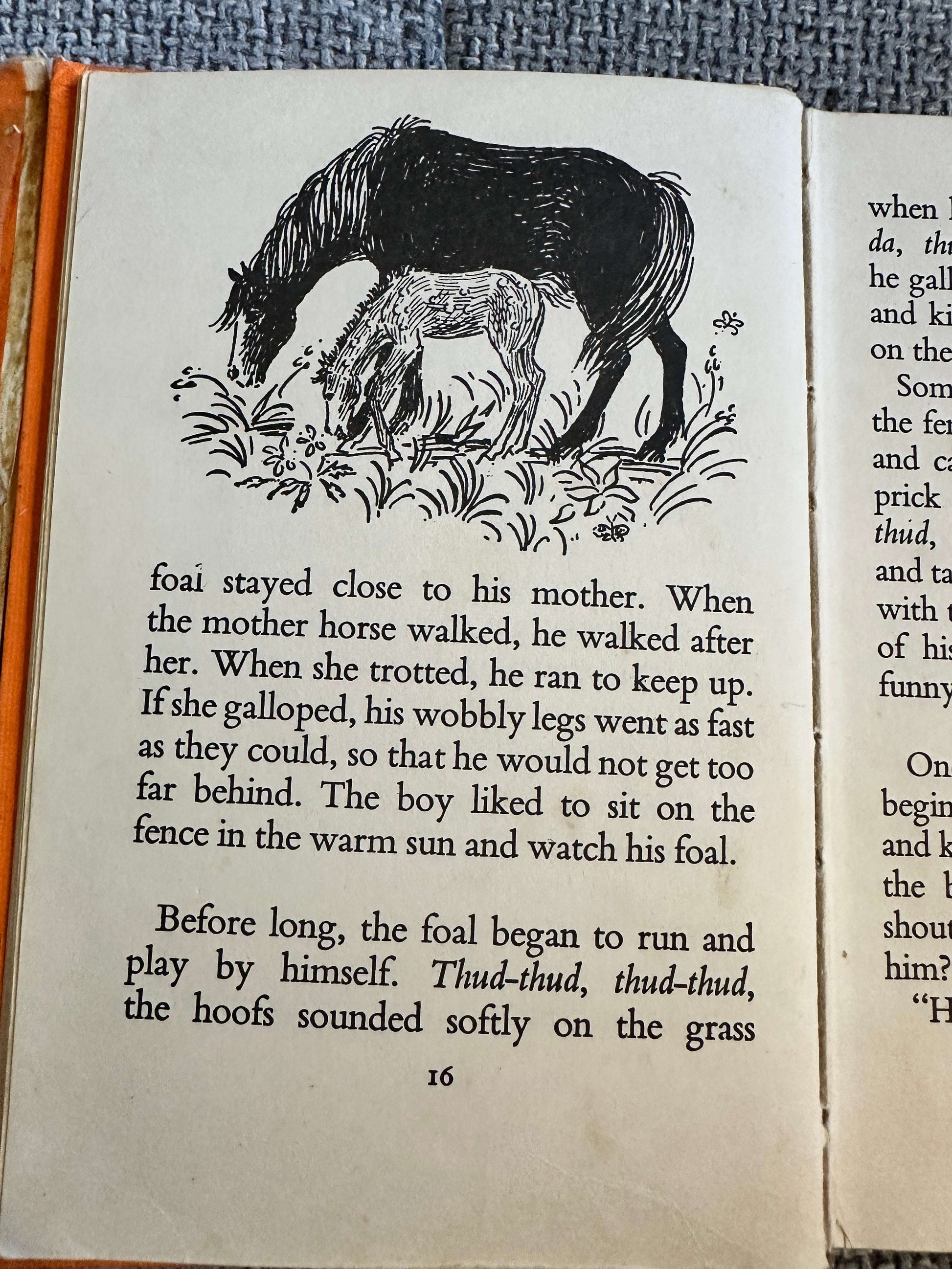 1968 A Boy & His Horse - Grace Skaar (Monica Brasier - Creagh Illust) Antelope Books Hamish Hamilton