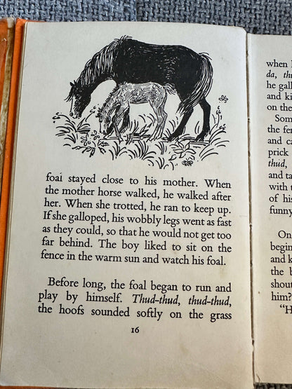 1968 A Boy & His Horse - Grace Skaar (Monica Brasier - Creagh Illust) Antelope Books Hamish Hamilton