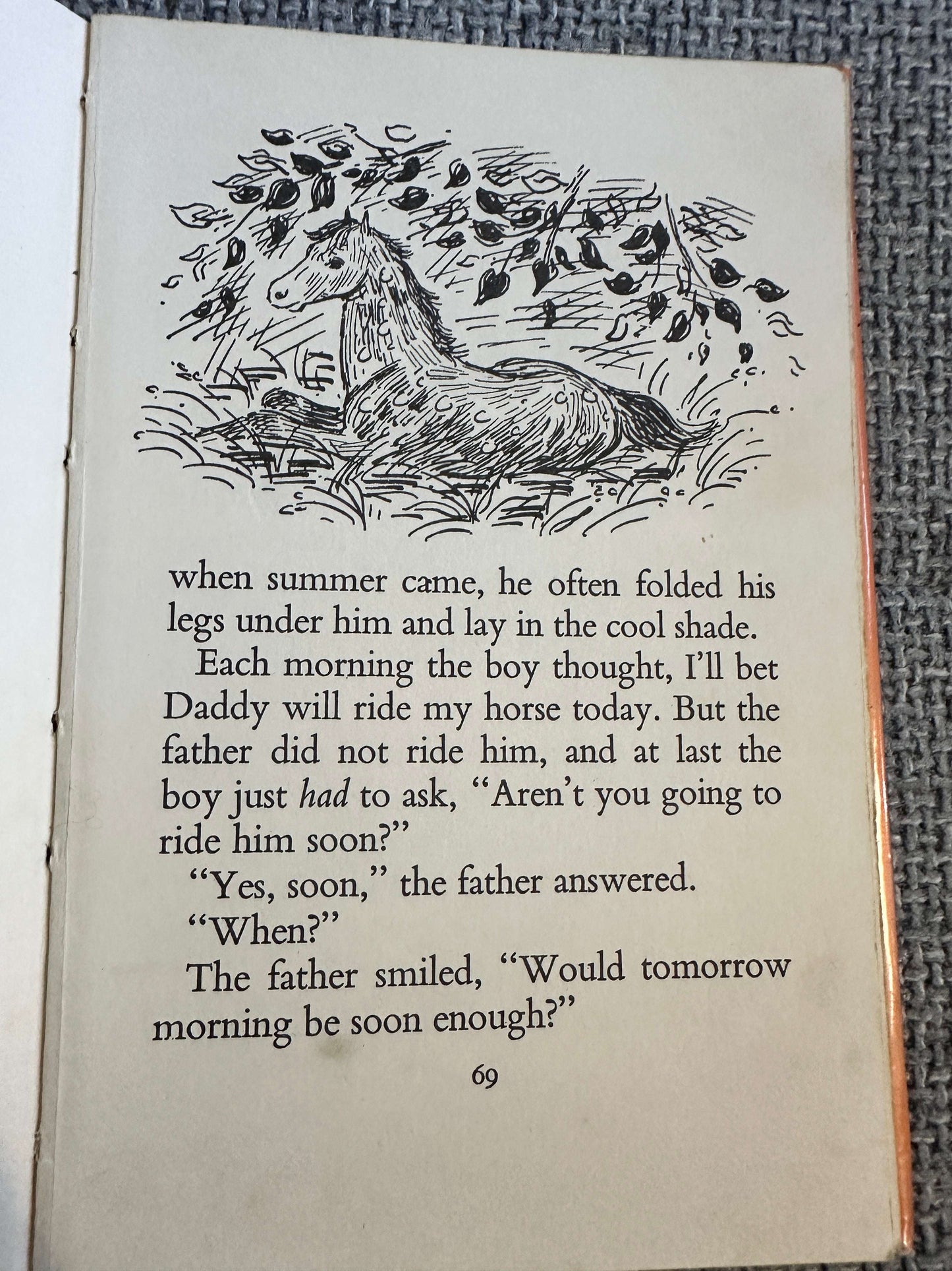 1968 A Boy & His Horse - Grace Skaar (Monica Brasier - Creagh Illust) Antelope Books Hamish Hamilton