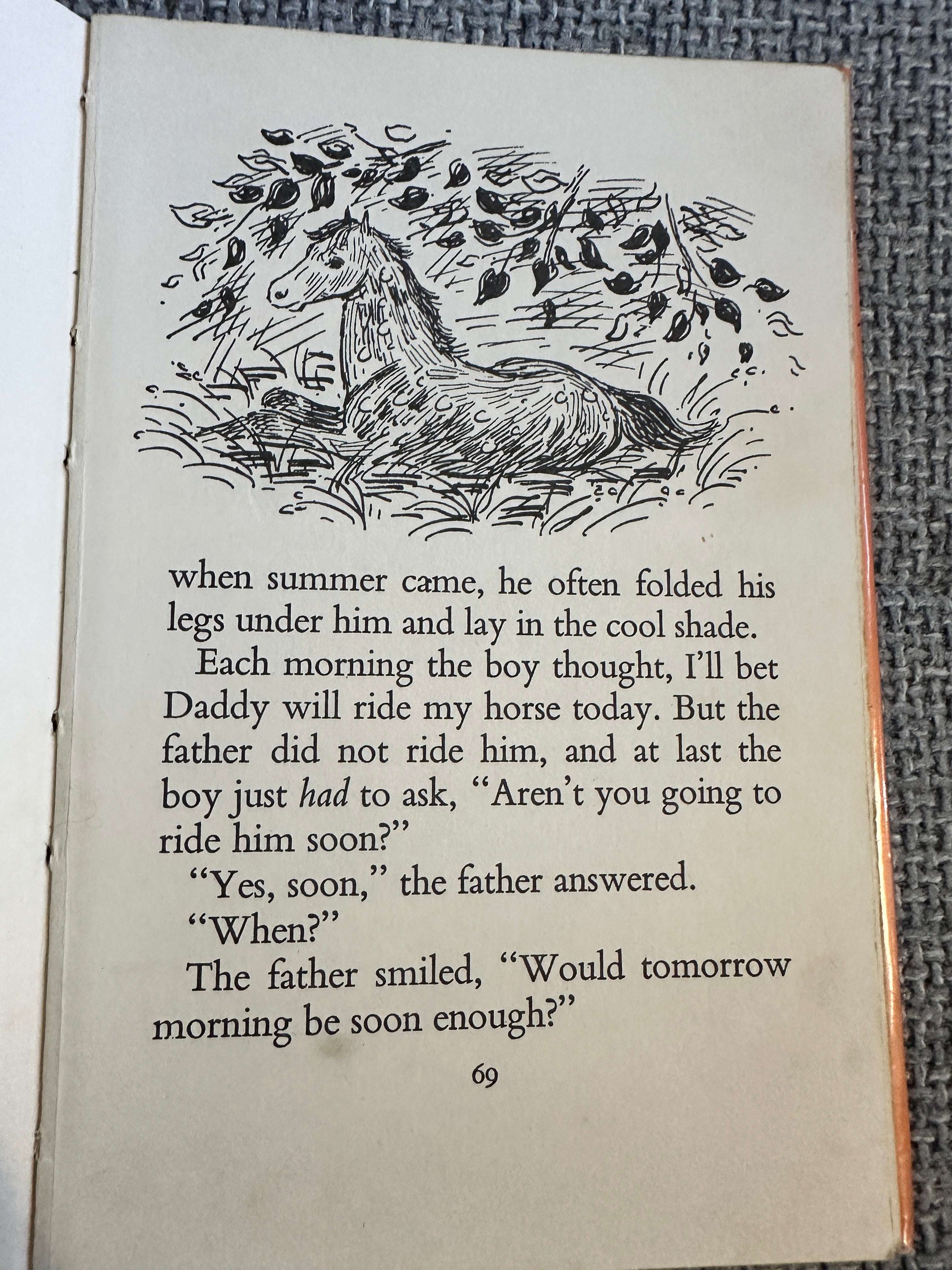 1968 A Boy & His Horse - Grace Skaar (Monica Brasier - Creagh Illust) Antelope Books Hamish Hamilton