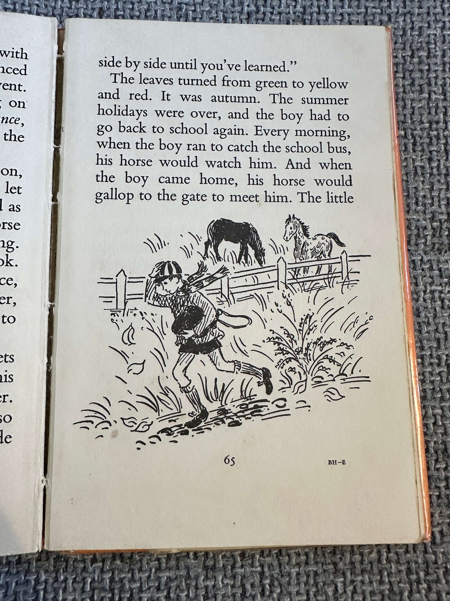 1968 A Boy & His Horse - Grace Skaar (Monica Brasier - Creagh Illust) Antelope Books Hamish Hamilton