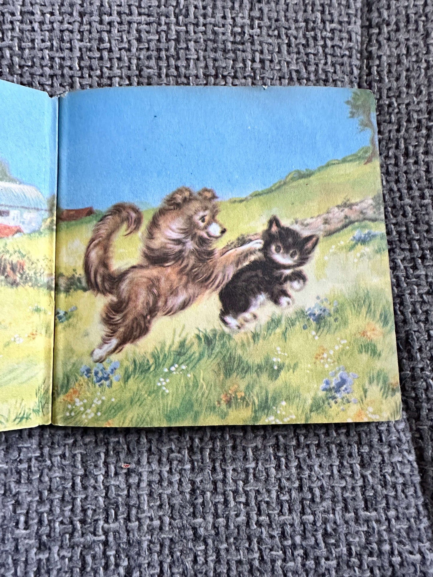 1950’s Rusty & Dinah (A Pixie Book) Tessa Mills (Collins)