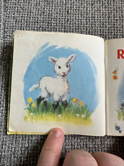 1950’s Rusty & Dinah (A Pixie Book) Tessa Mills (Collins)