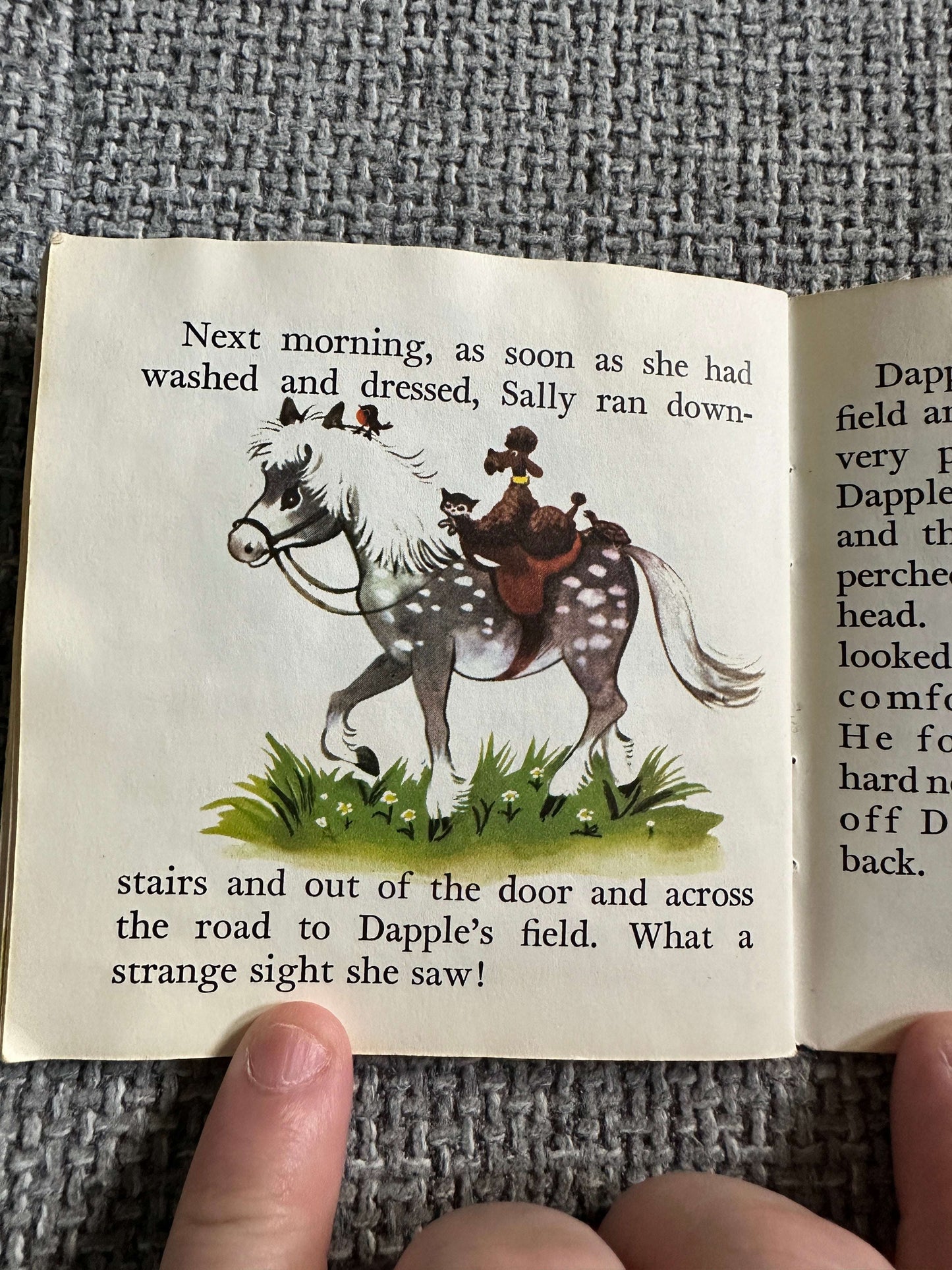 1950’s Pony Tales (A Pixie Book) - Marion Foster (Collins)