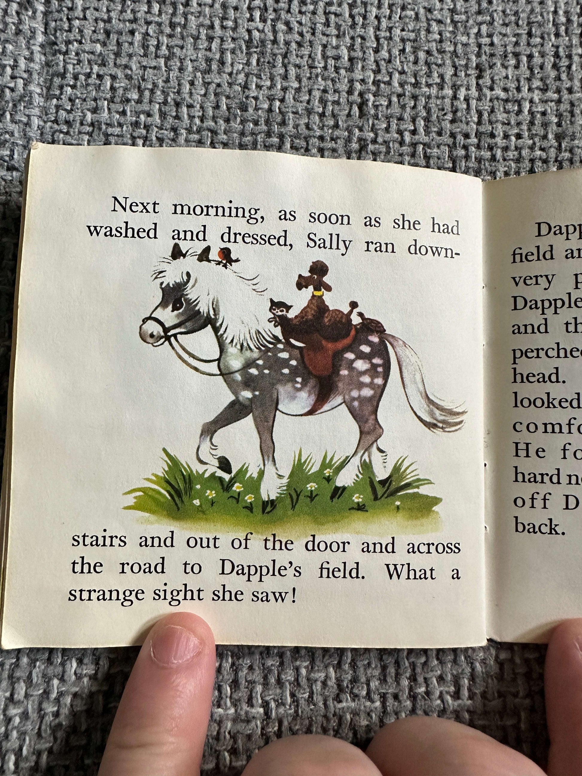 1950’s Pony Tales (A Pixie Book) - Marion Foster (Collins)