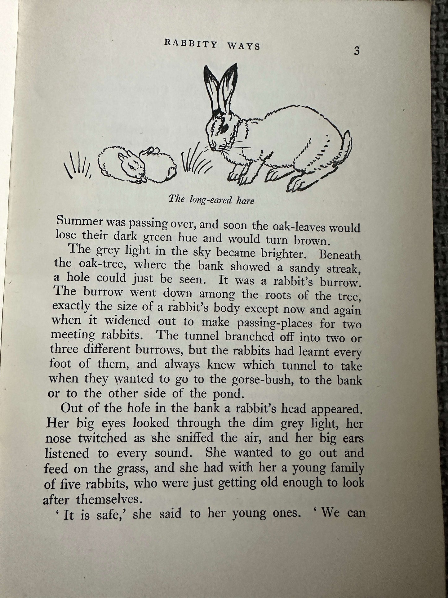 1943 Hedgerow Tales (Part 1) Teacher’s Edition - Enid Blyton (Vere Temple Illust) Methuen & Co Ltd.