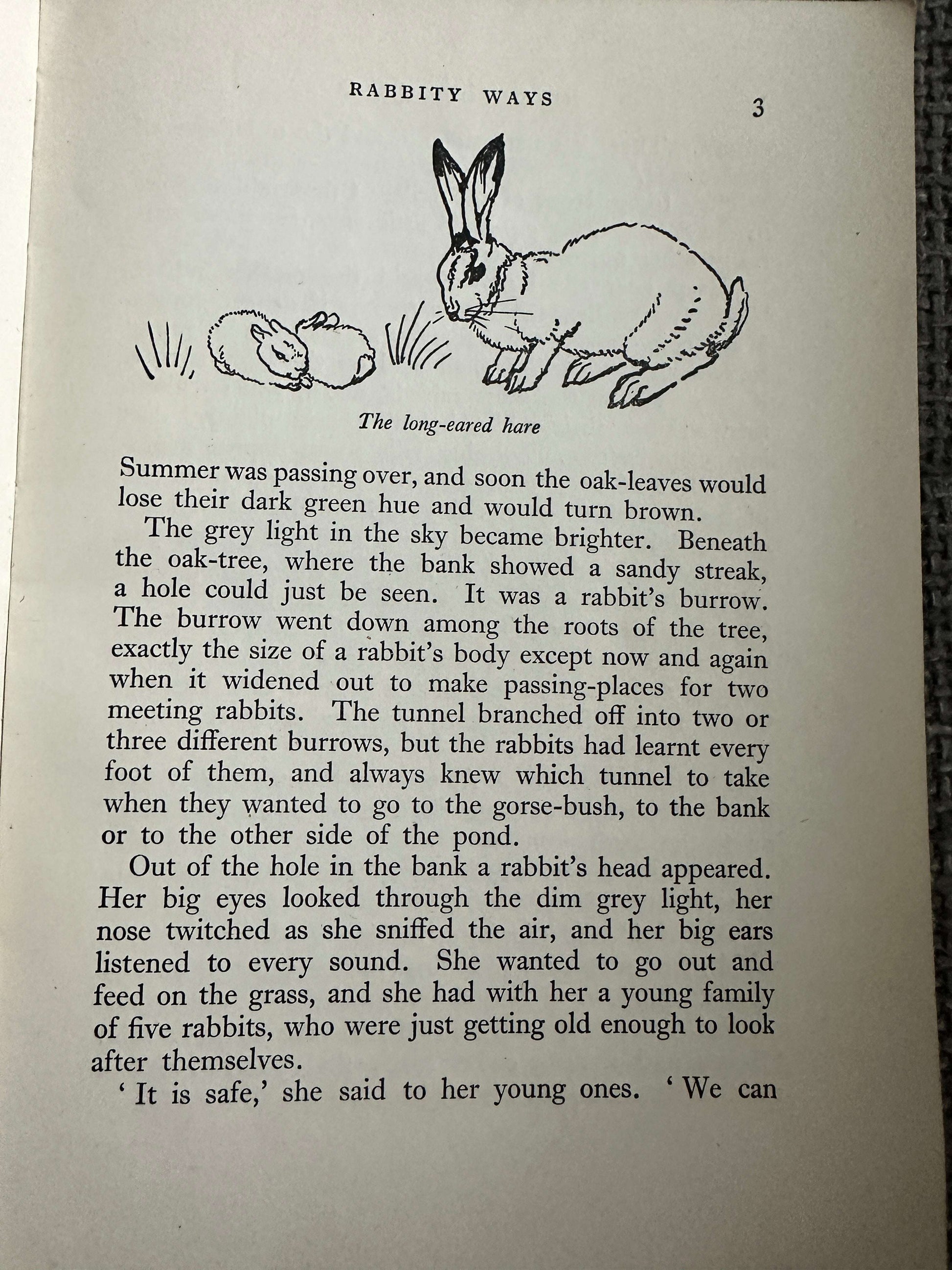 1943 Hedgerow Tales (Part 1) Teacher’s Edition - Enid Blyton (Vere Temple Illust) Methuen & Co Ltd.