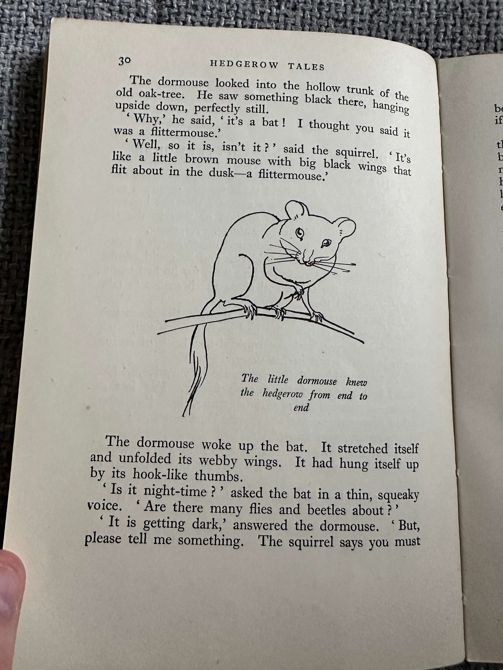 1943 Hedgerow Tales (Part 1) Teacher’s Edition - Enid Blyton (Vere Temple Illust) Methuen & Co Ltd.