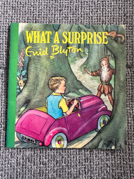 1970’s What A Surprise! - Enid Blyton (Molly Brett Illust) Hodder & Stoughton