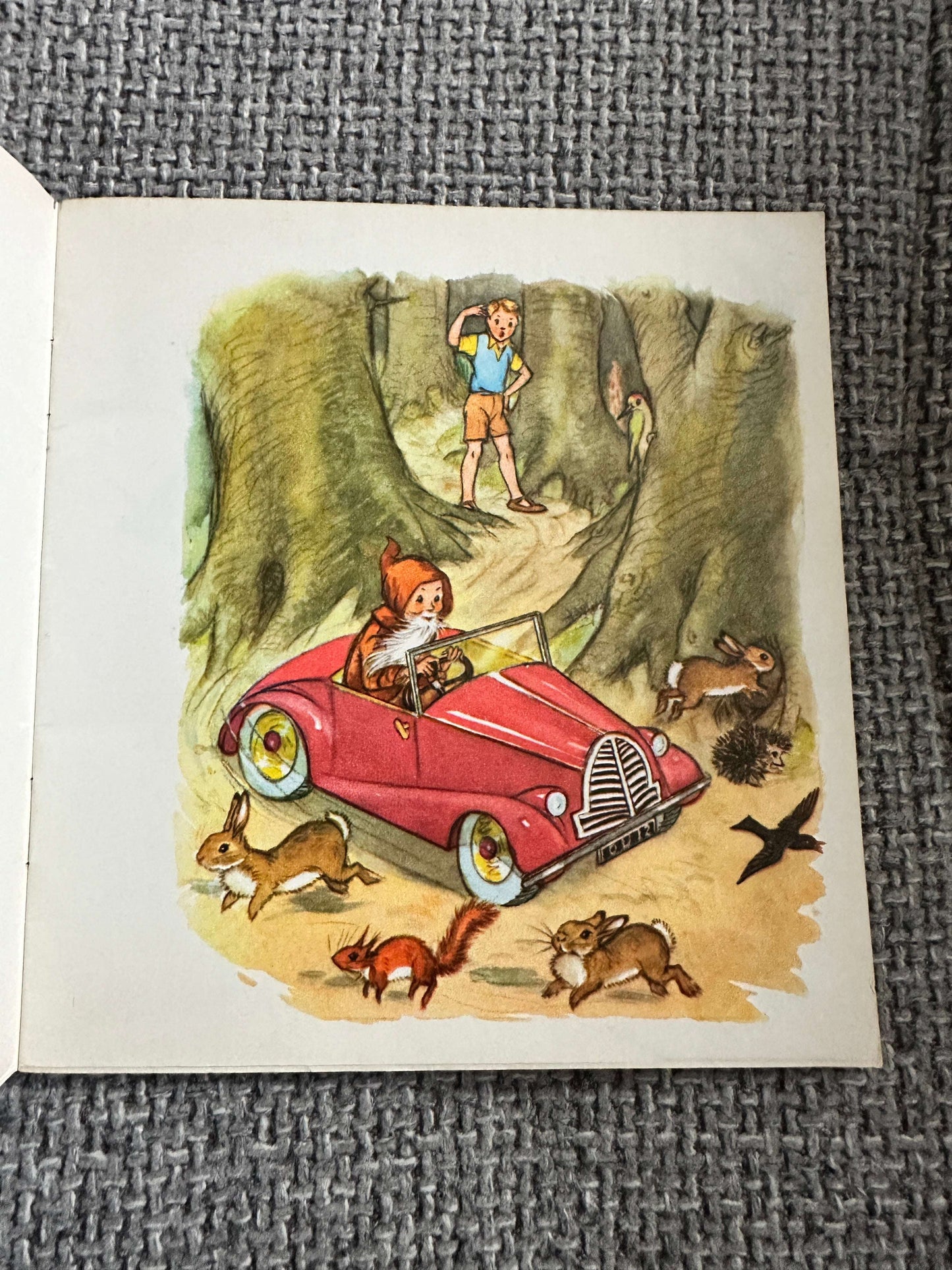 1970’s What A Surprise! - Enid Blyton (Molly Brett Illust) Hodder & Stoughton