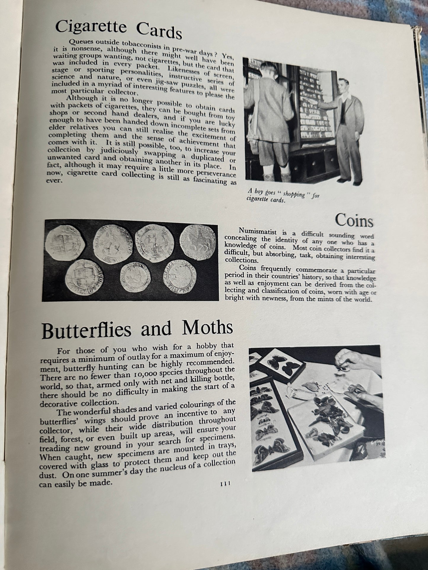 1950 The Modern World Book Of Hobbies(Sampson Low Marston & Co Ltd)