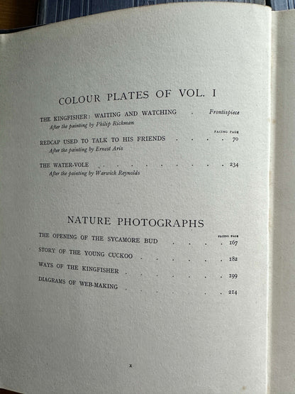 1926 The Teacher’s Treasury - Enid Blyton (Prof T. Percy Nunn intro) early edition, complete 3-volume set, original Newnes binding - Honeyburn Books (UK)
