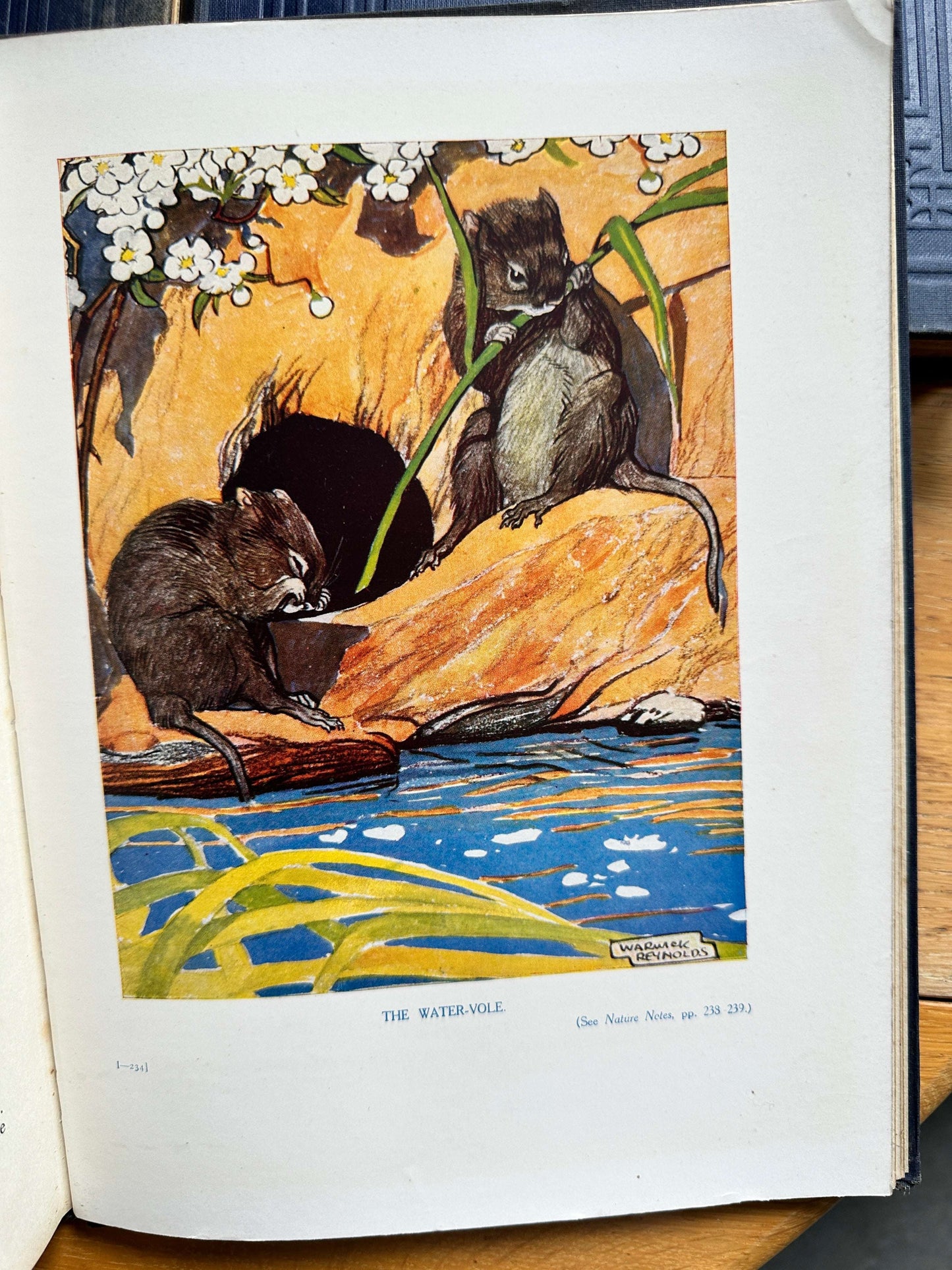 1926 The Teacher’s Treasury - Enid Blyton (Prof T. Percy Nunn intro) early edition, complete 3-volume set, original Newnes binding - Honeyburn Books (UK)