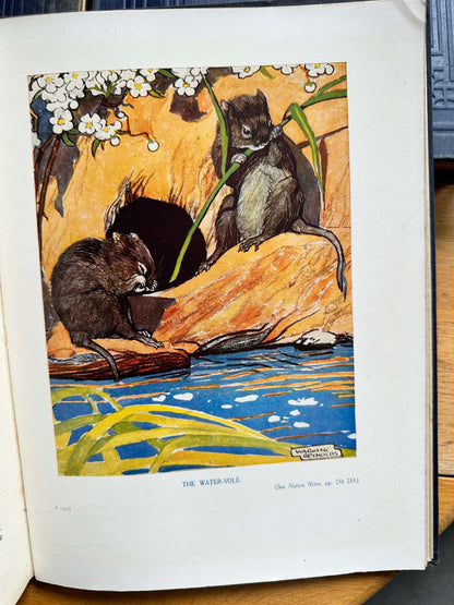 1926 The Teacher’s Treasury - Enid Blyton (Prof T. Percy Nunn intro) early edition, complete 3-volume set, original Newnes binding - Honeyburn Books (UK)