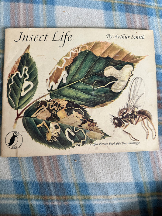 1950’s Insect Life(Puffin Picture Book 66) Arthur Smith