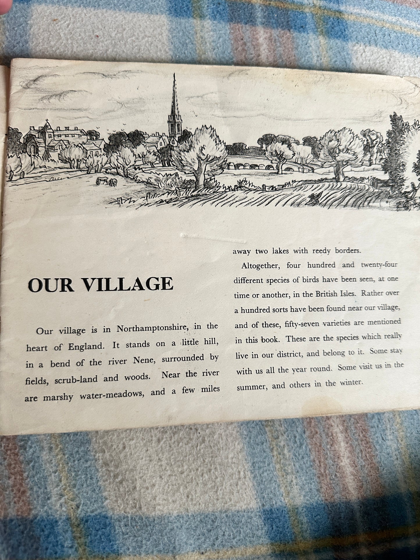 1944 Birds Of The Village (Puffin Picture Book No20) James Fisher(Illustrated by P.F. Millard