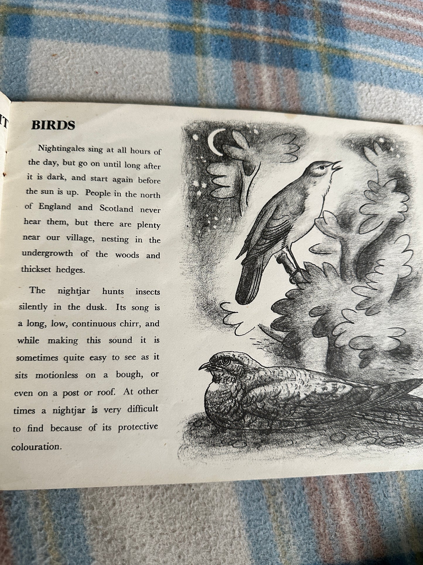 1944 Birds Of The Village (Puffin Picture Book No20) James Fisher(Illustrated by P.F. Millard