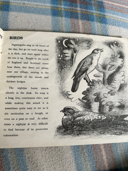 1944 Birds Of The Village (Puffin Picture Book No20) James Fisher(Illustrated by P.F. Millard