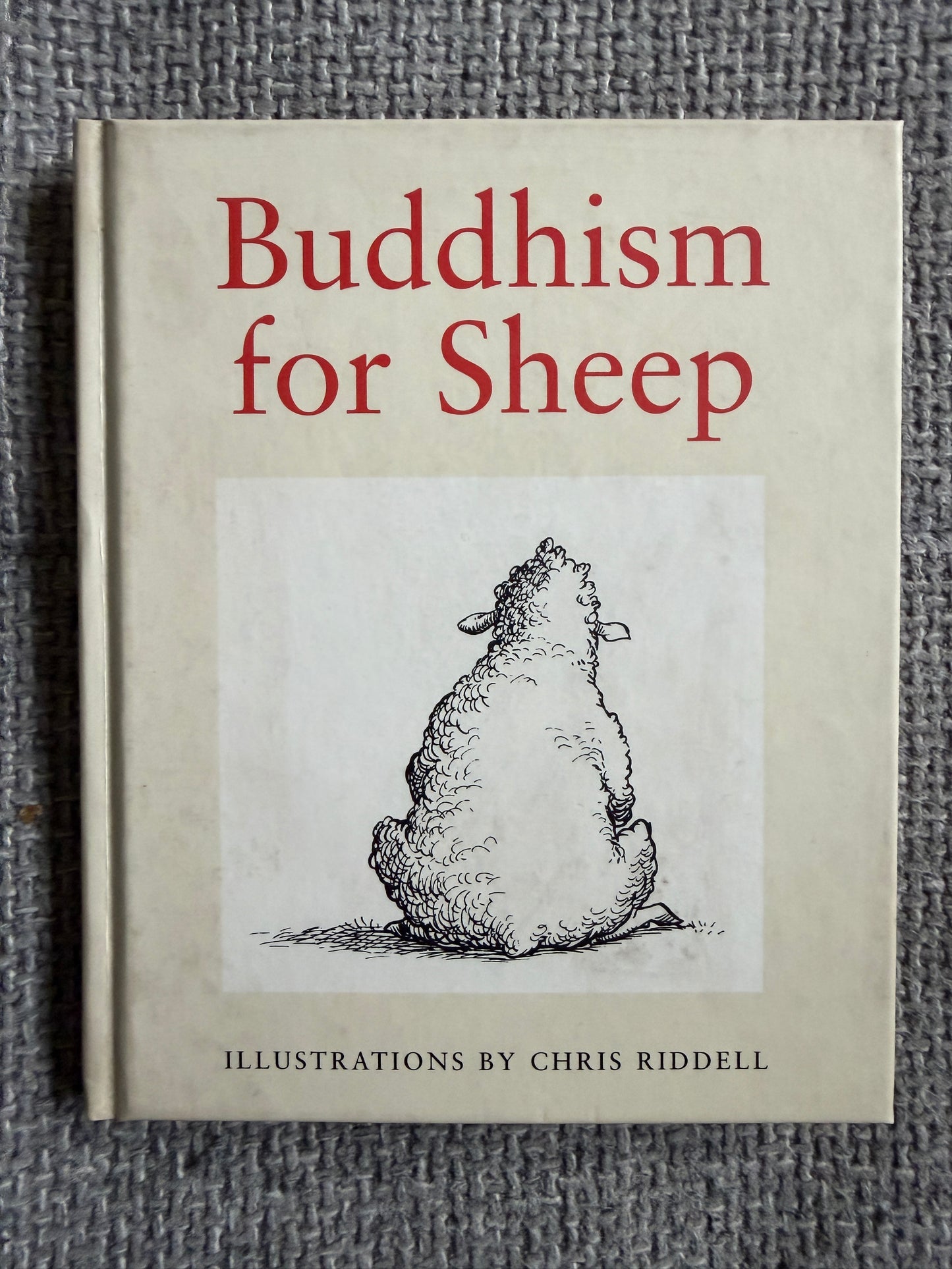 1996 Buddhism For Sheep - Louise Howard (Chris Riddell illust) Ebury Press - Honeyburn Books (UK)