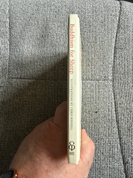1996 Buddhism For Sheep - Louise Howard (Chris Riddell illust) Ebury Press