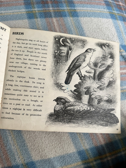 1944 Birds Of The Village (Puffin Picture Book No20) James Fisher(Illustrated by P.F. Millard