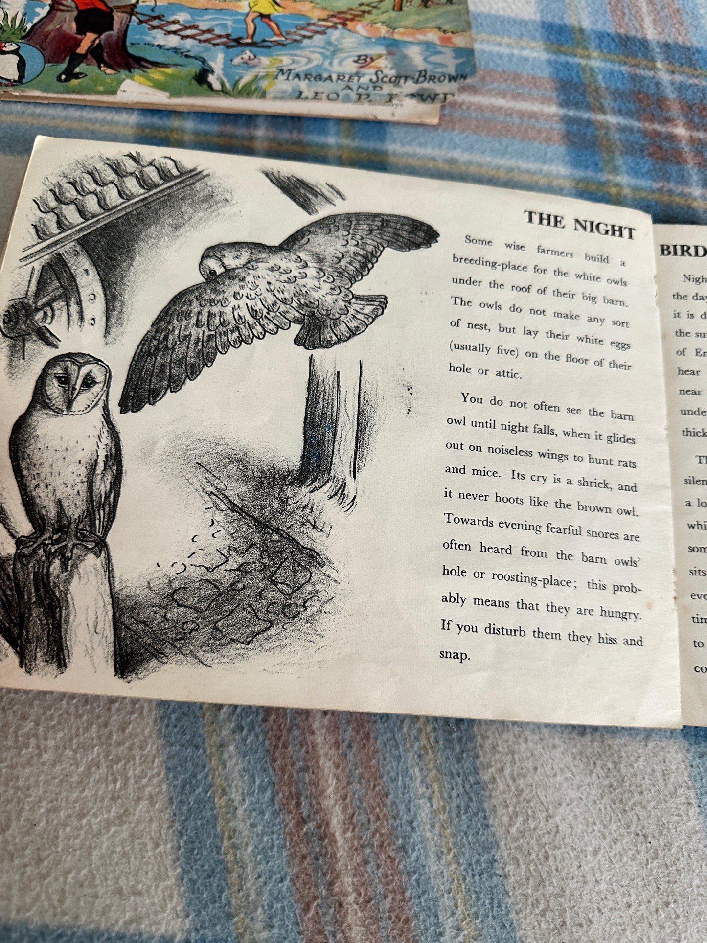 1944 Birds Of The Village (Puffin Picture Book No20) James Fisher(Illustrated by P.F. Millard