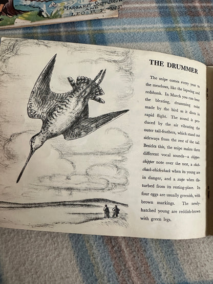 1944 Birds Of The Village (Puffin Picture Book No20) James Fisher(Illustrated by P.F. Millard