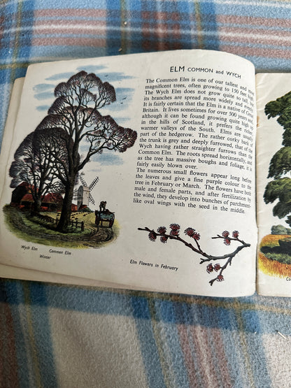 1940’s Trees In Britain(Puffin Picture Book No31) S. R. Badmin