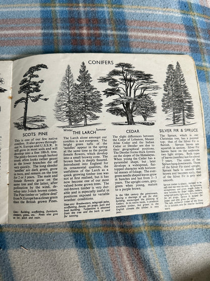 1940’s Trees In Britain(Puffin Picture Book No31) S. R. Badmin