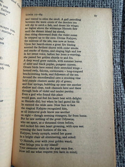 1965 Homer The Odyssey Fitzgerald London Panther Edition - Honeyburn Books (UK)
