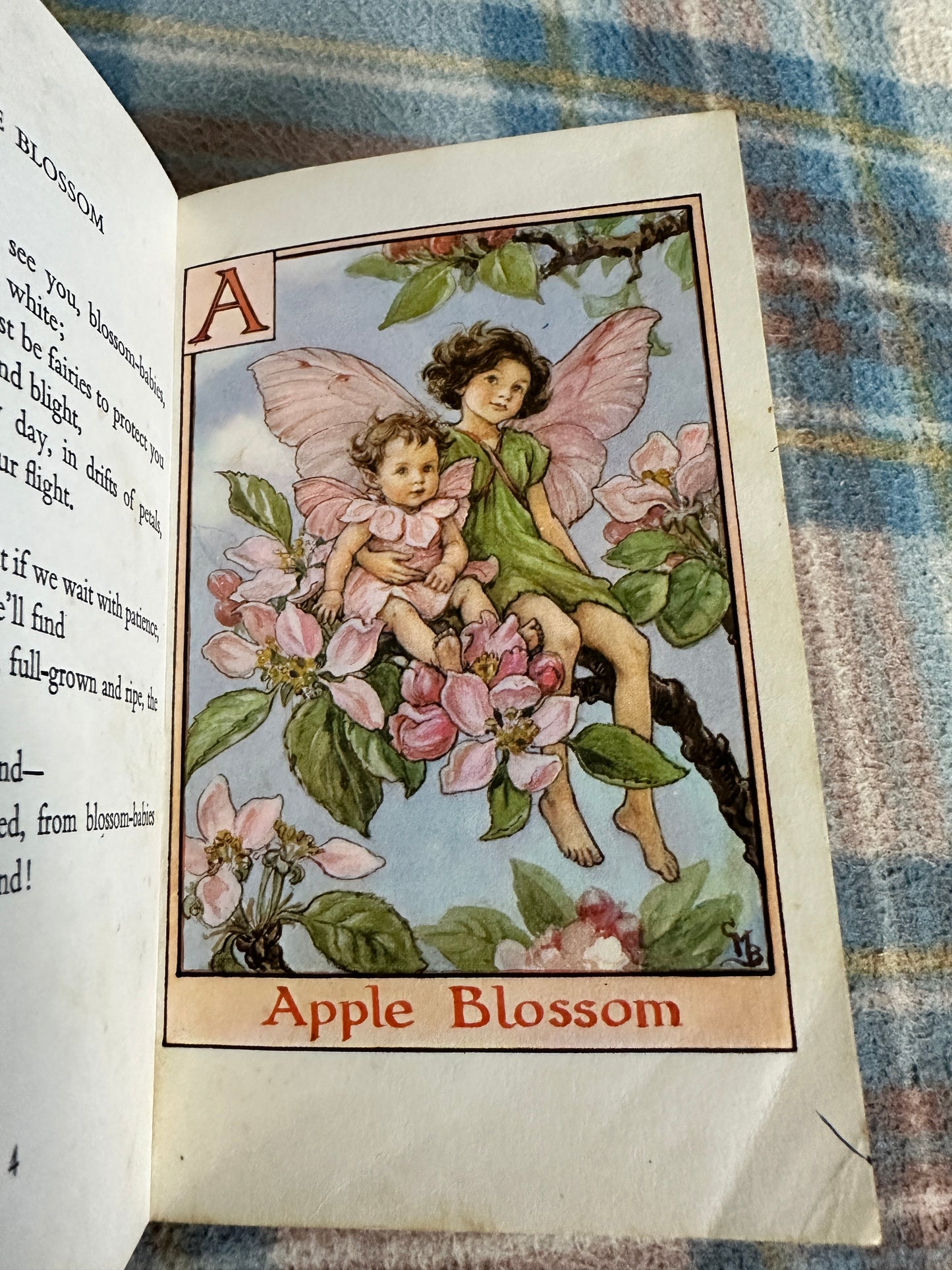 1966 A Flower Fairy Alphabet - Cicely Mary Barker(Blackie)