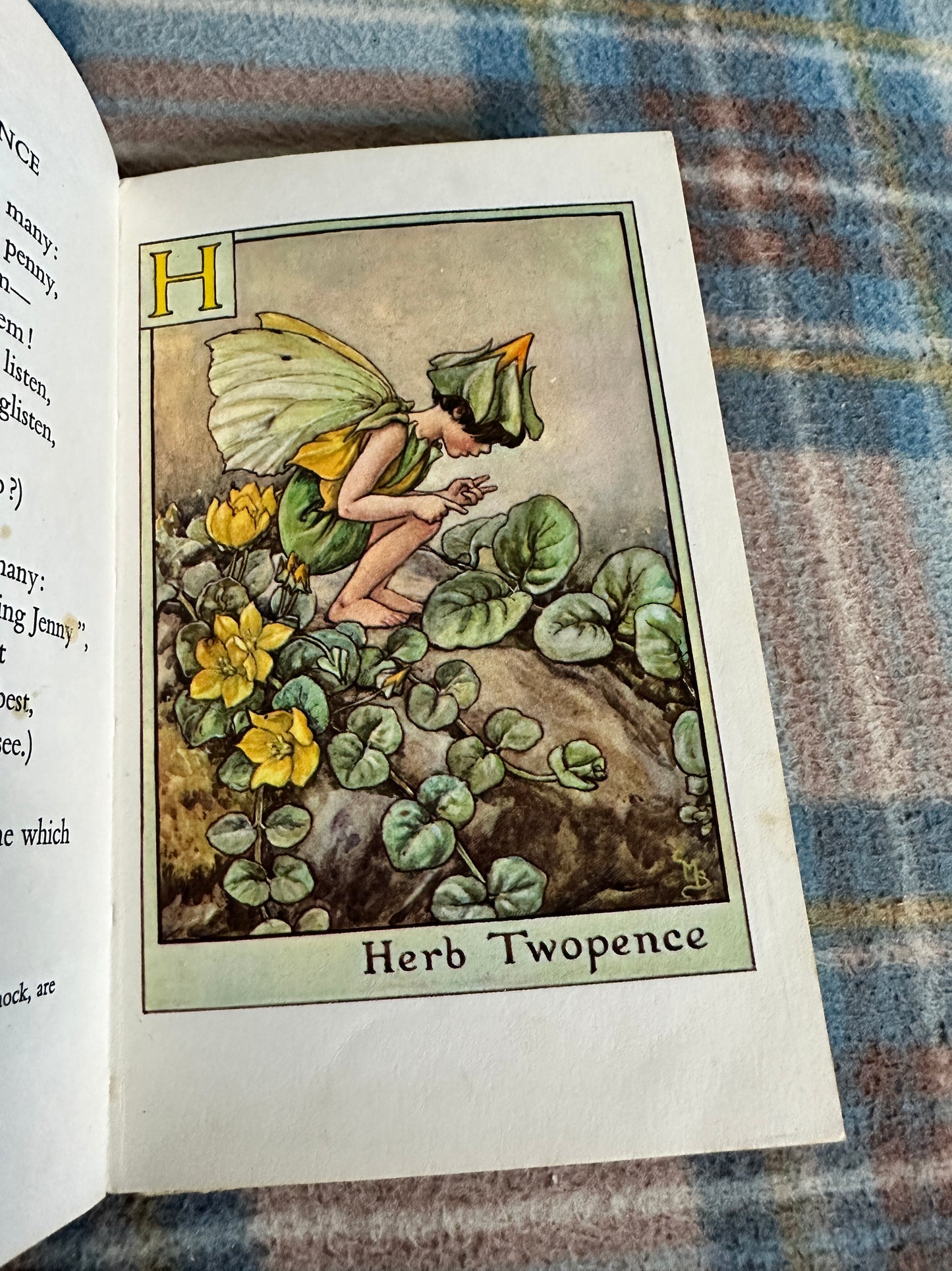 1966 A Flower Fairy Alphabet - Cicely Mary Barker(Blackie)