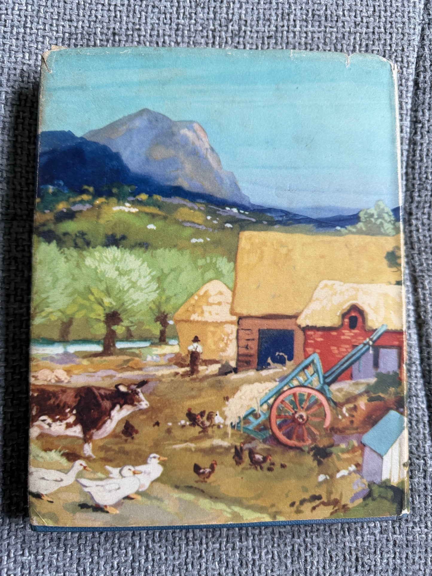 1955 The Children Of Willow Farm - Enid Blyton (Harry Rountree illust) Country Life - Honeyburn Books (UK)