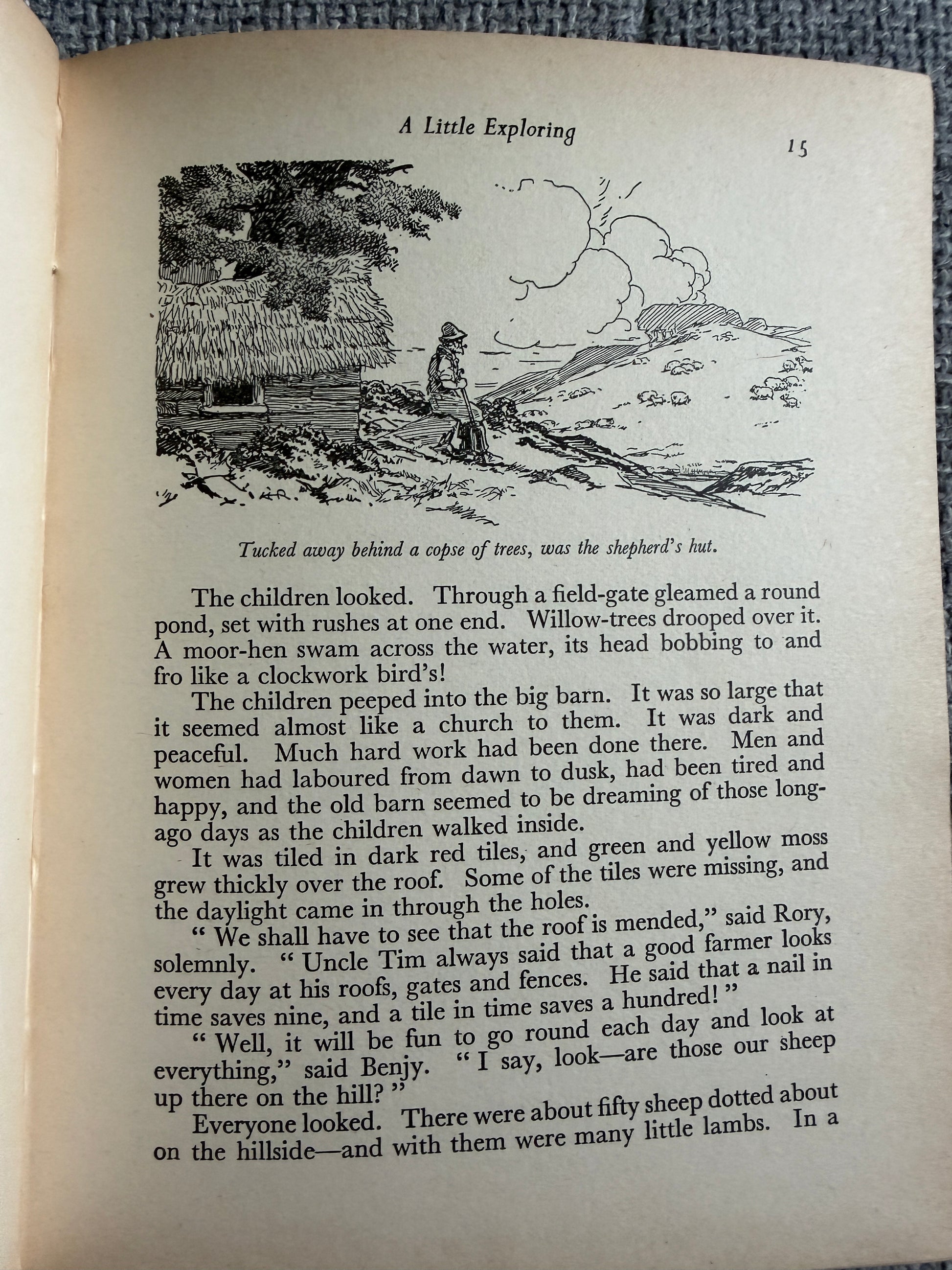 1955 The Children Of Willow Farm - Enid Blyton (Harry Rountree illust) Country Life - Honeyburn Books (UK)