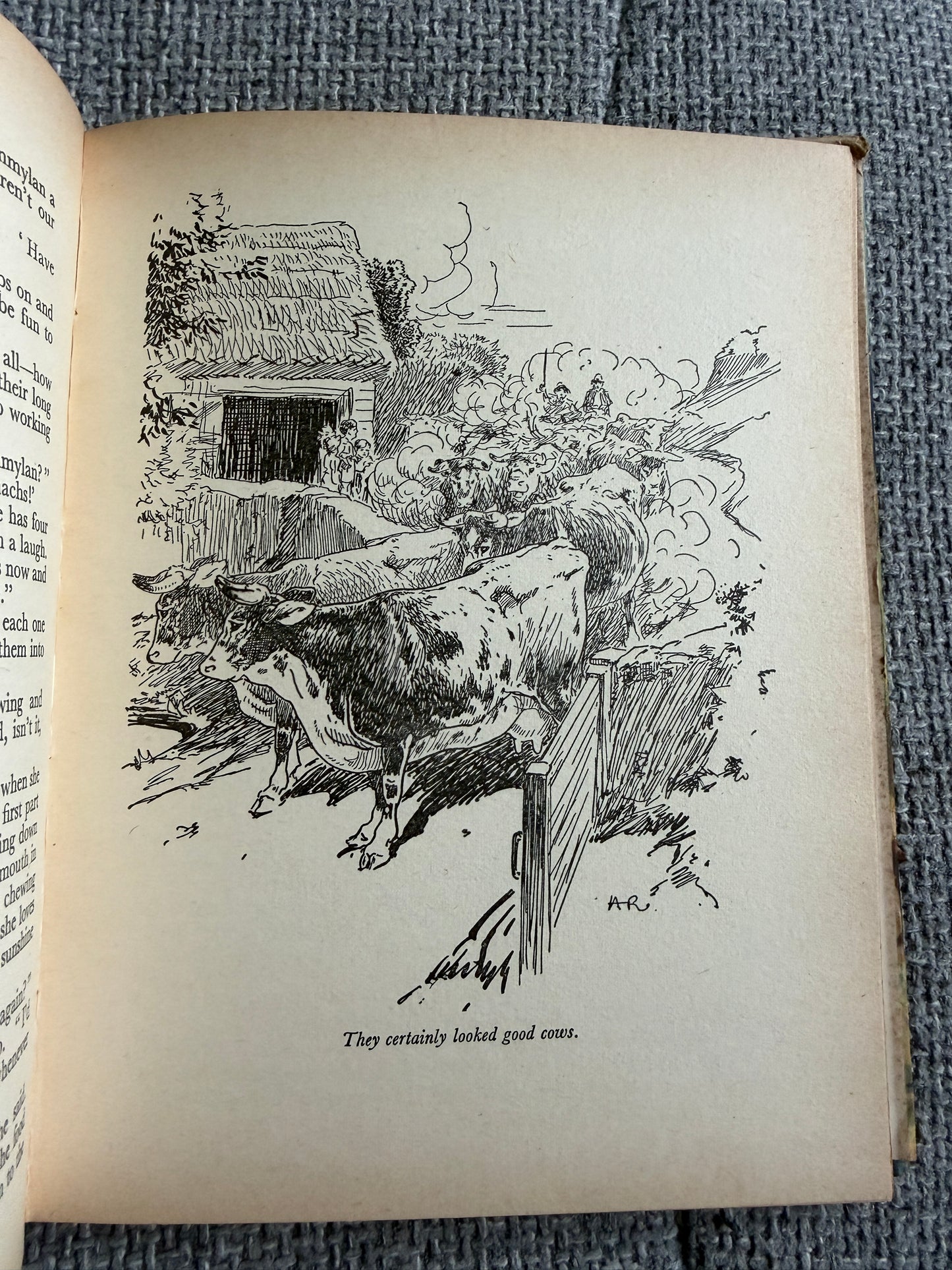 1955 The Children Of Willow Farm - Enid Blyton (Harry Rountree illust) Country Life - Honeyburn Books (UK)