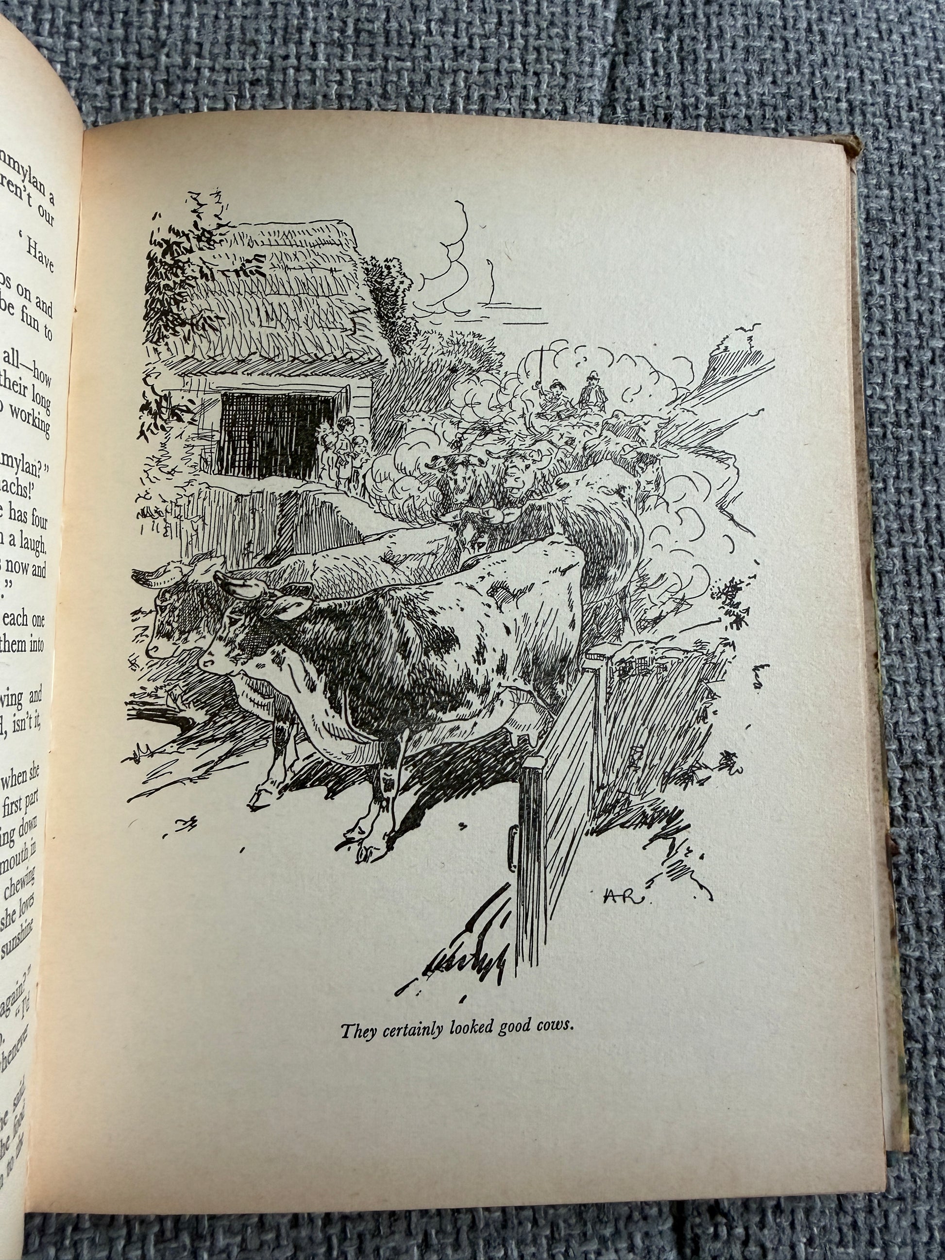 1955 The Children Of Willow Farm - Enid Blyton (Harry Rountree illust) Country Life - Honeyburn Books (UK)