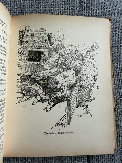 1955 The Children Of Willow Farm - Enid Blyton (Harry Rountree illust) Country Life - Honeyburn Books (UK)