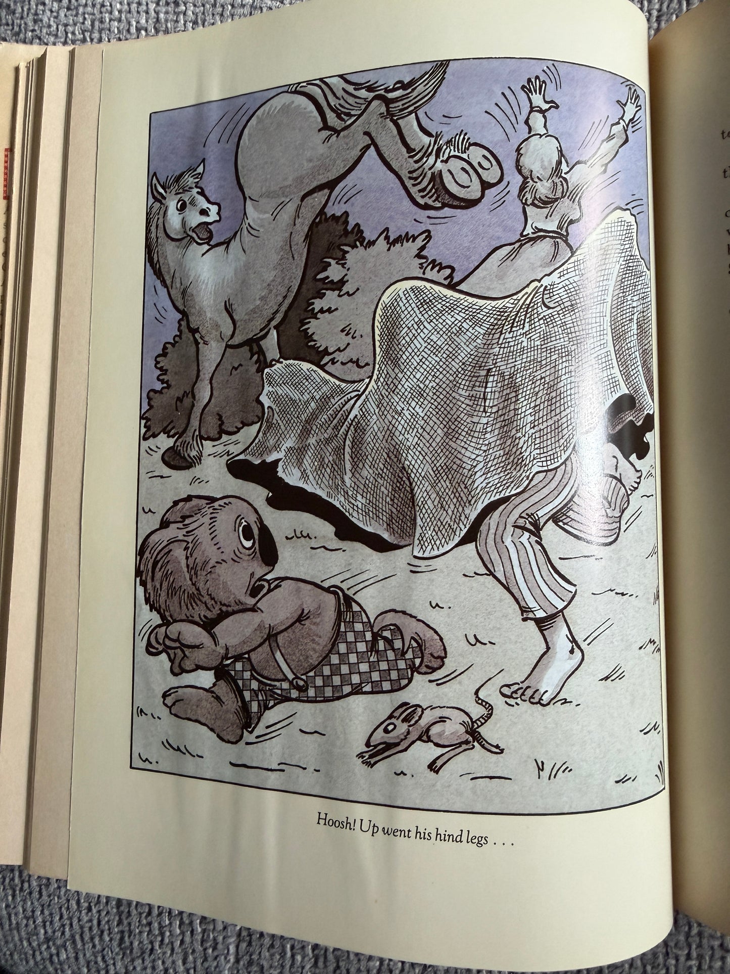 1986 The Complete Adventures of Blinky Bill Commemorative Edition by Dorothy Wall Angus & Robertson - Honeyburn Books (UK)