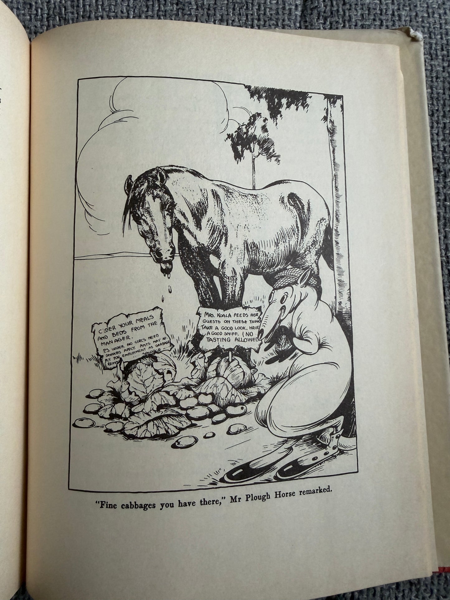 1986 The Complete Adventures of Blinky Bill Commemorative Edition by Dorothy Wall Angus & Robertson - Honeyburn Books (UK)