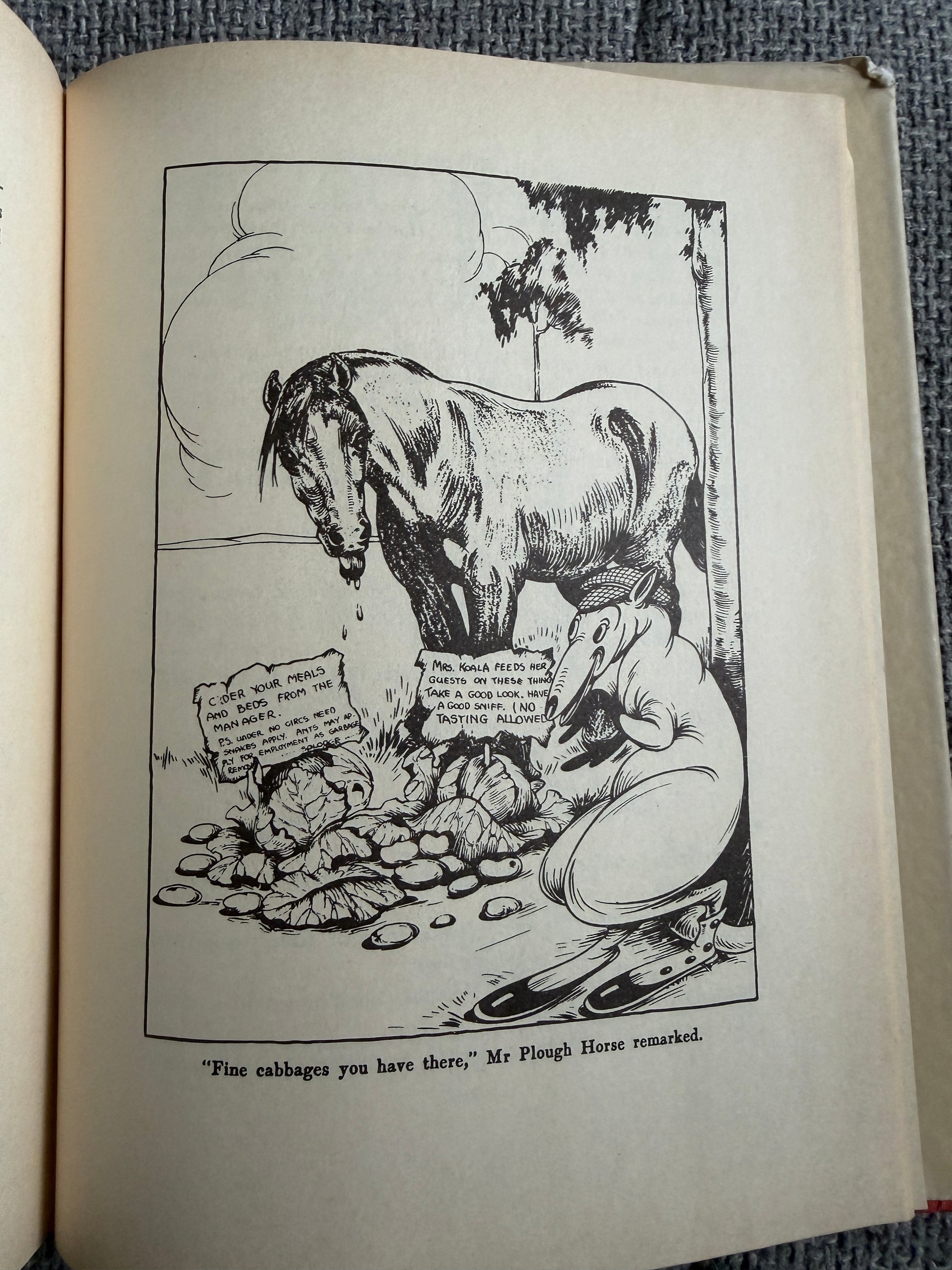 1986 The Complete Adventures of Blinky Bill Commemorative Edition by Dorothy Wall Angus & Robertson - Honeyburn Books (UK)