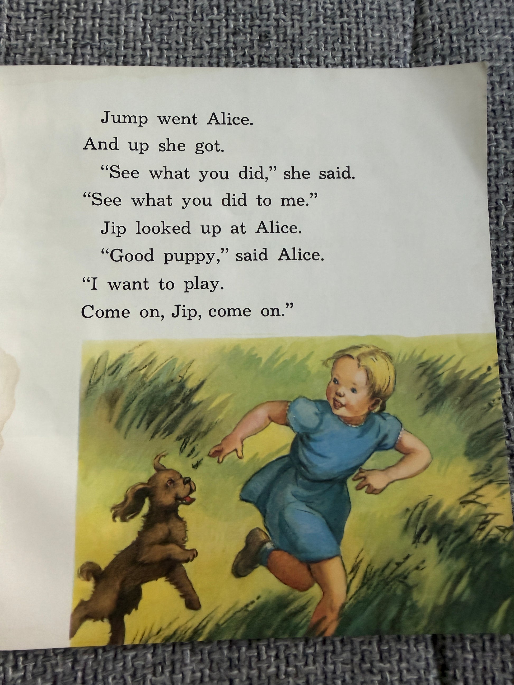 1964 High On A Hill Book by Mabel O’Donnell & Selma Coughlan - Illustrated by Florence & Margaret Hoopes in Alice & Jerry Basic Reading Program - Honeyburn Books (UK)