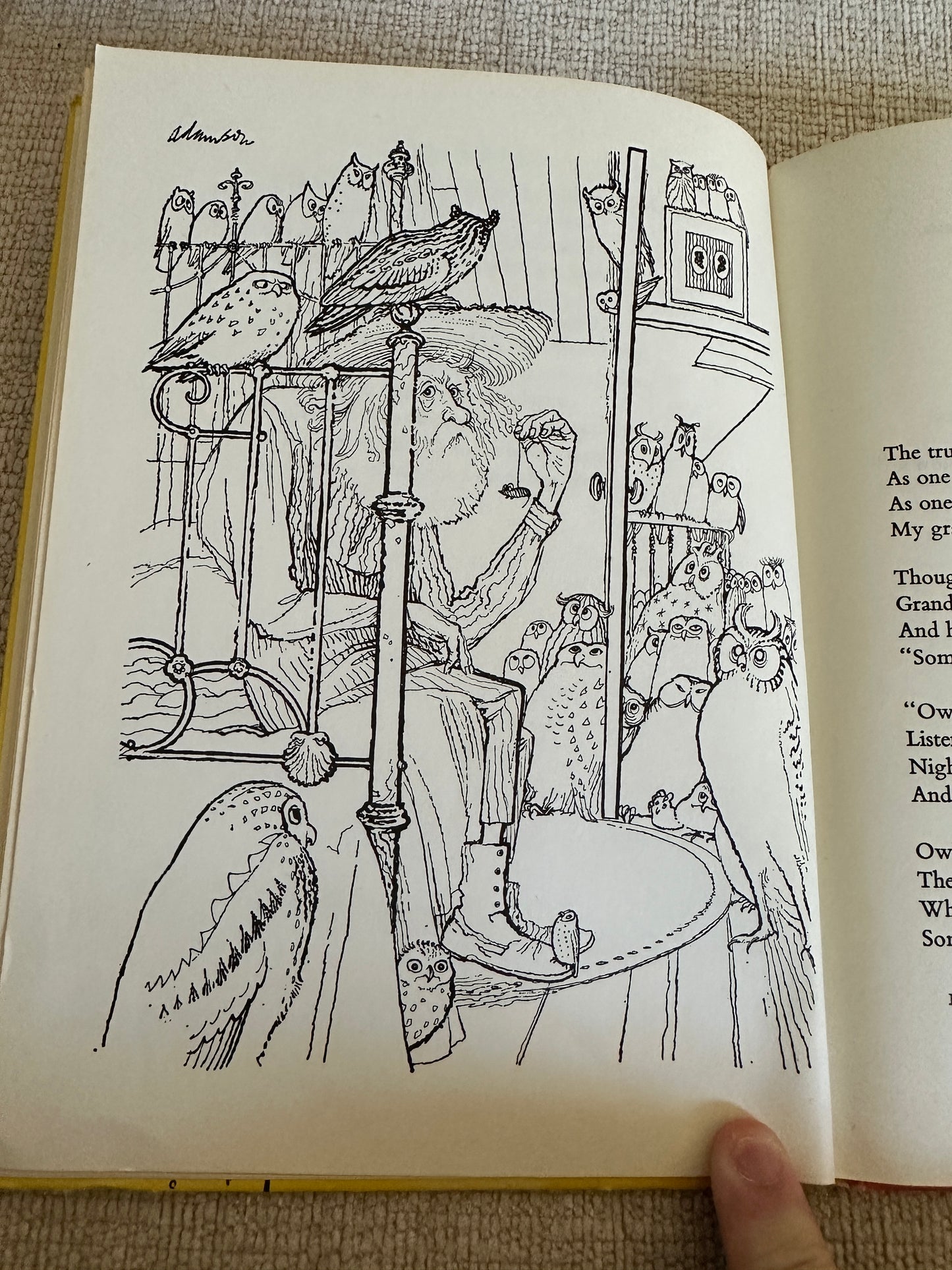 1967 Meet The Folks - Ted Hughes(George Adamson illustration)Faber & Faber