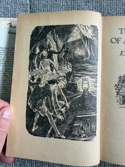 1975 The River Of Adventure - Enid Blyton (Stuart Tresilian illust) MacMillan - Honeyburn Books (UK)