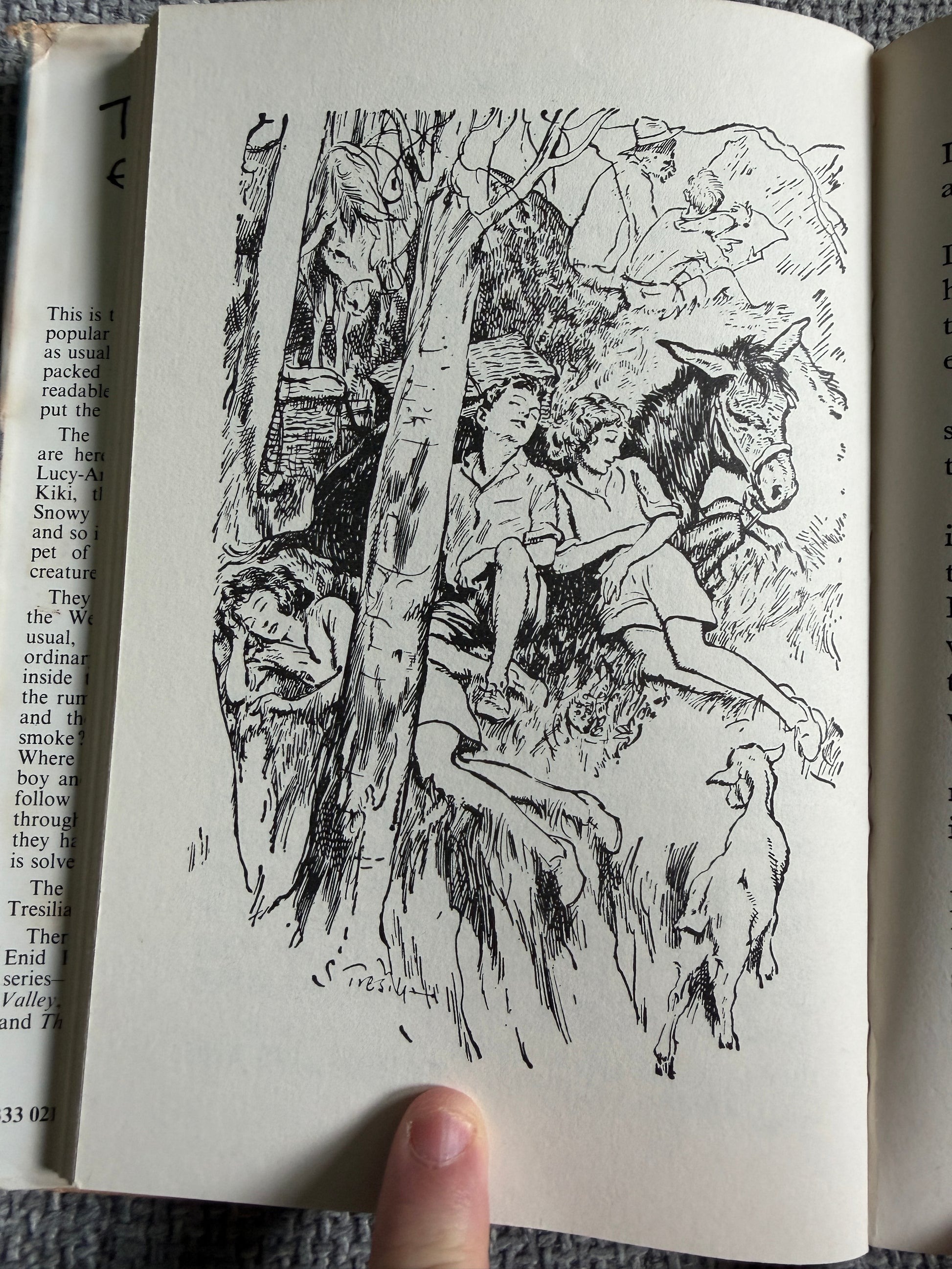 1974 The Mountain Of Adventure - Enid Blyton (Stuart Tresilian illust) MacMillan - Honeyburn Books (UK)