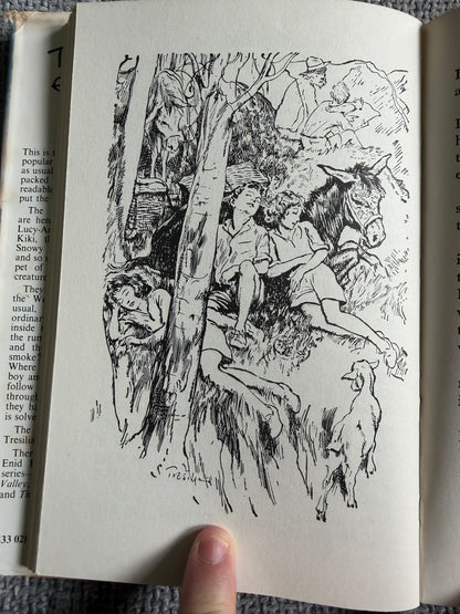 1974 The Mountain Of Adventure - Enid Blyton (Stuart Tresilian illust) MacMillan - Honeyburn Books (UK)
